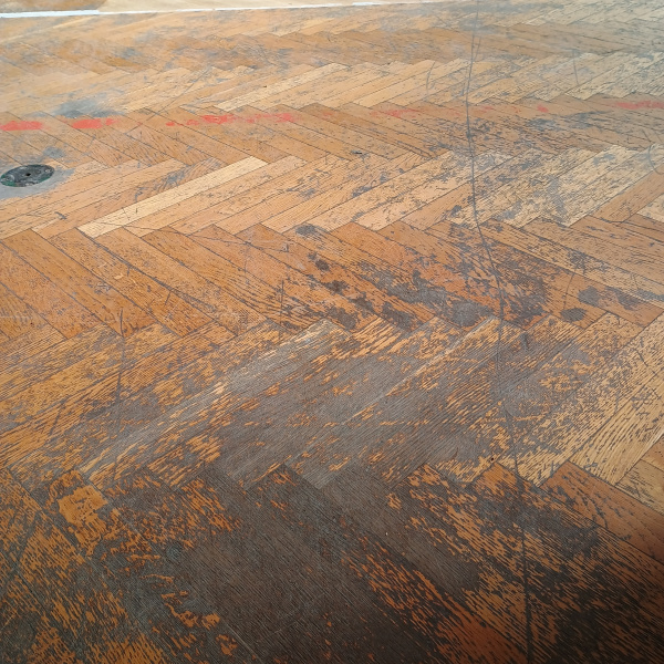 Grosics Gyula Sport Általános Iskola Tornaterme